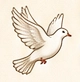 Pigeon Symbol